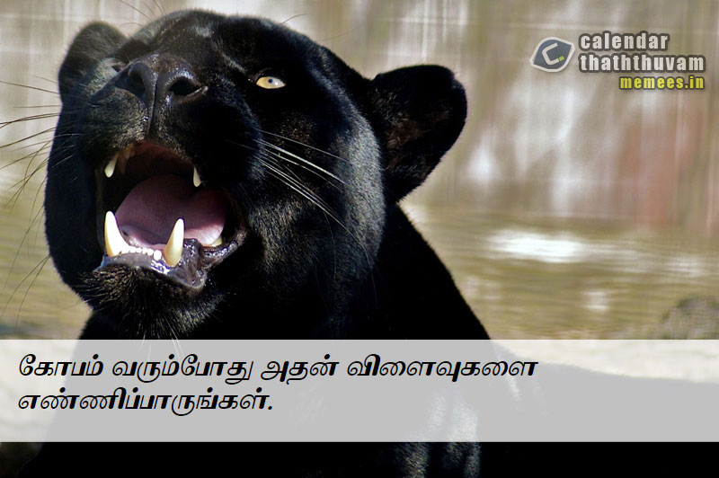 Tamil Philosophy Anger The Philosophy Of Anger In Tamil Anger 