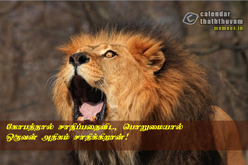 anger Quotes in Tamil