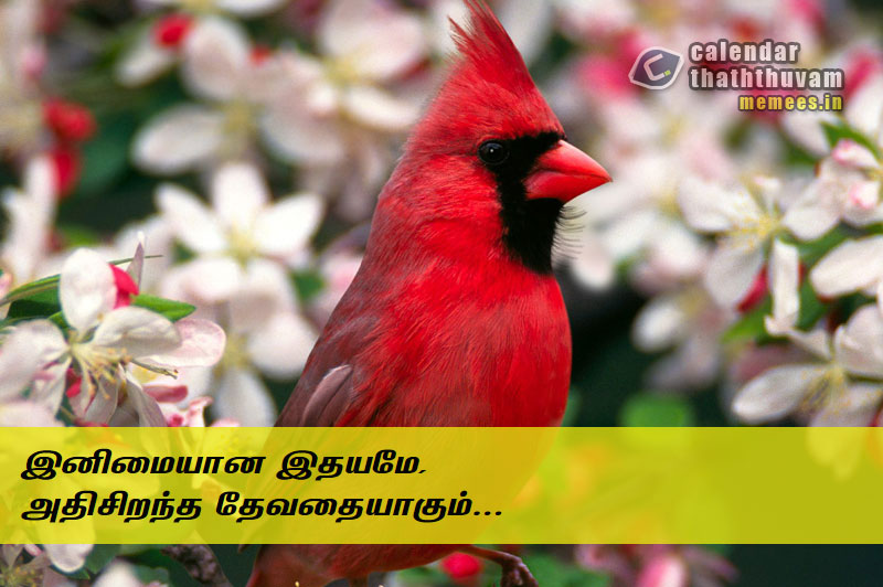 Tamil Thathuvangal குணம்,Character