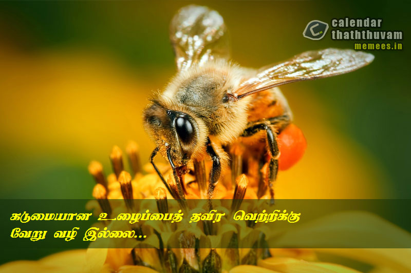Work Quotes in Tamil