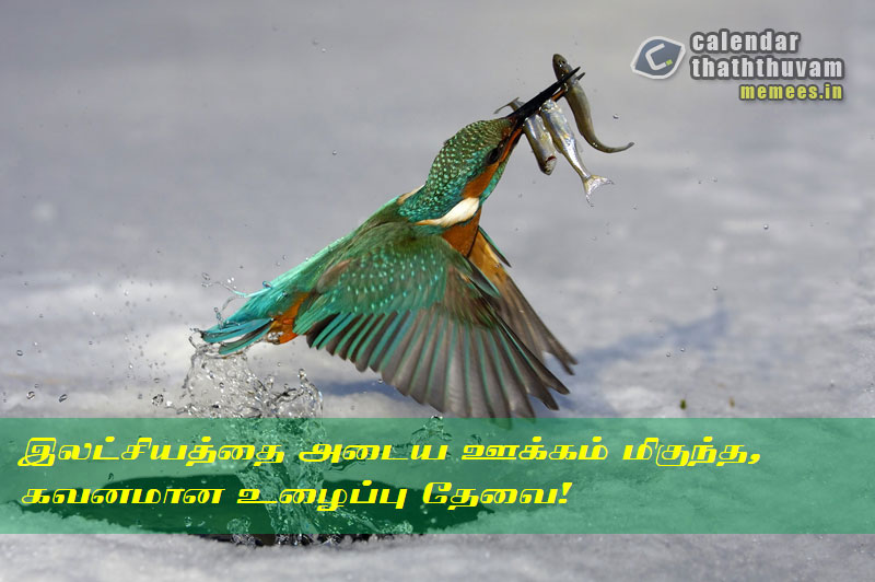 Tamil Thathuvangal உழைப்பு,Work