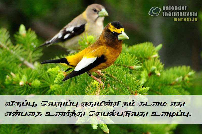 Tamil Thathuvangal உழைப்பு,Work