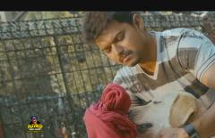 Tamil heroes vijay Reactions