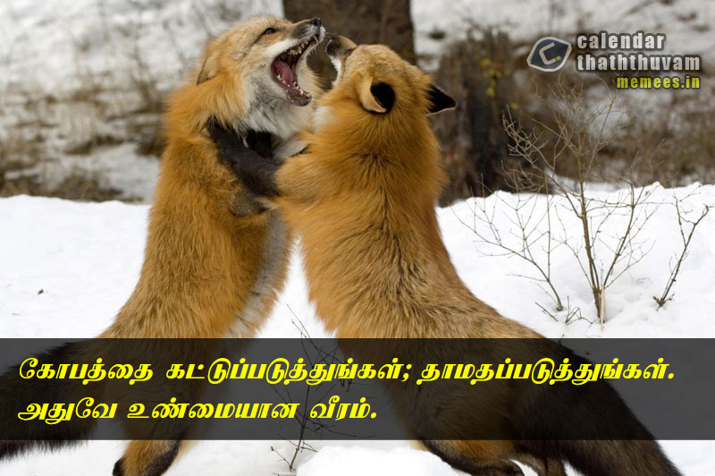 Tamil Thathuvangal கோவம்,Anger