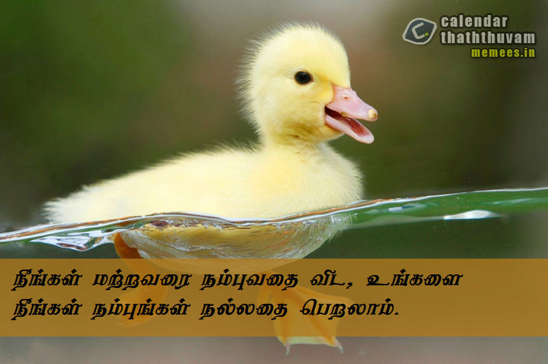 Tamil Philosophy Hope The Philosophy Of Hope In Tamil Hope 